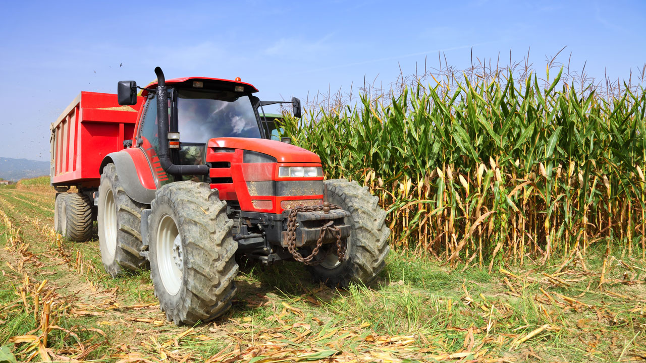 Raex in der Landwirtschaft